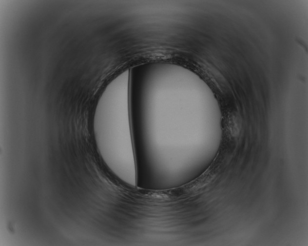 X0000097600512200802290735