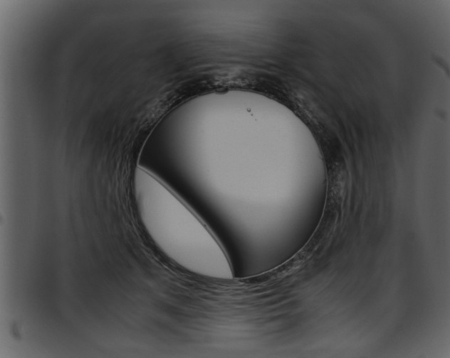 X0000097600513200802290735