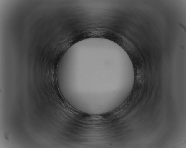 X0000097600514200802290735