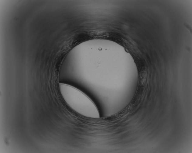 X0000097600515200802290735