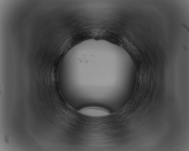 X0000097600516200802290735