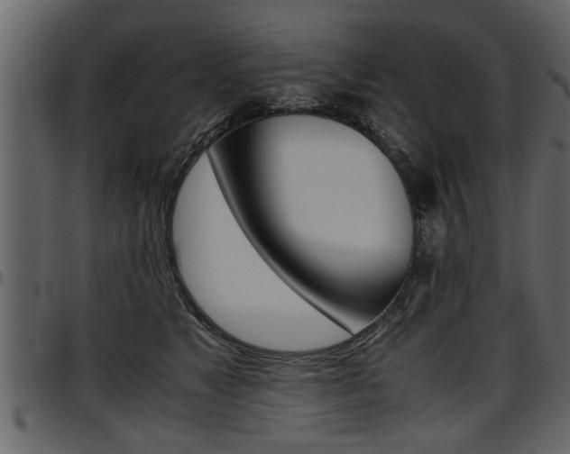 X0000097600517200802290735