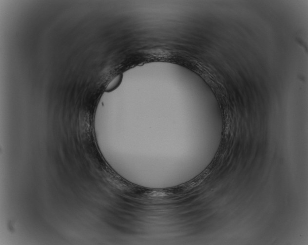 X0000097600518200802290735