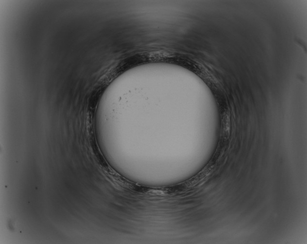 X0000097600519200802290735