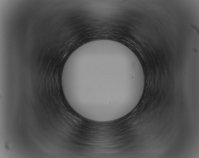 X0000097600520200802290735