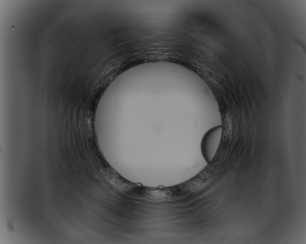 X0000097600522200802290735