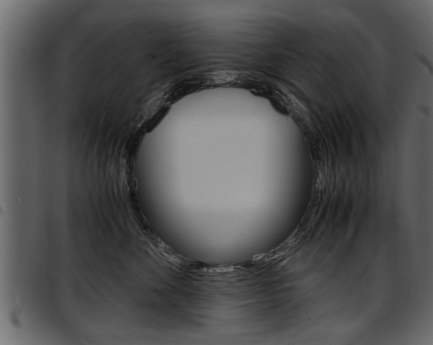 X0000097600524200802290735