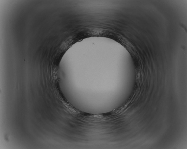 X0000097600525200802290735