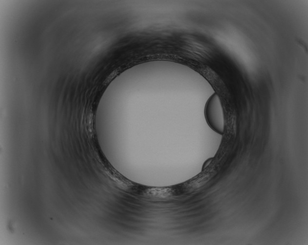 X0000097600526200802290735