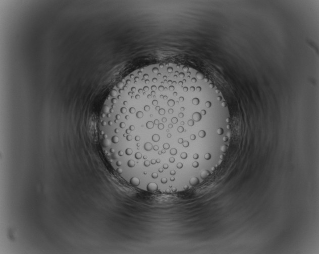 X0000097600527200802290735