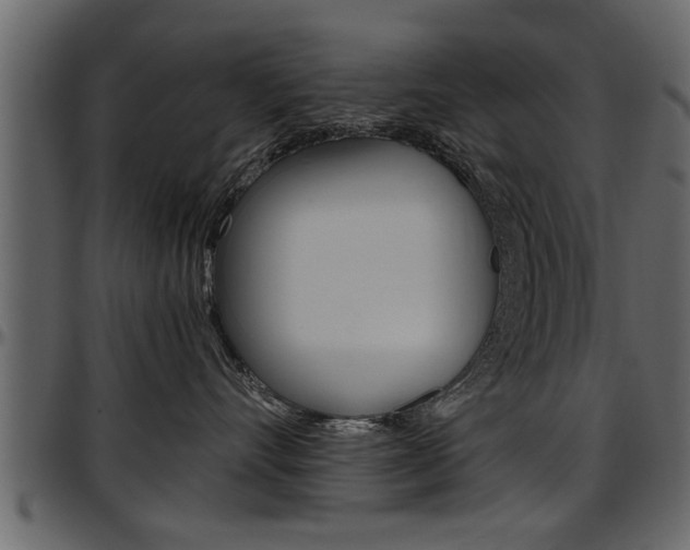 X0000097600528200802290735