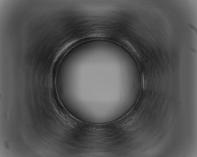 X0000097600531200802290734