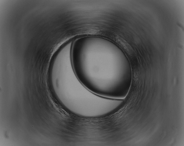 X0000097600532200802290734