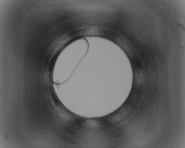 X0000097600534200802290734