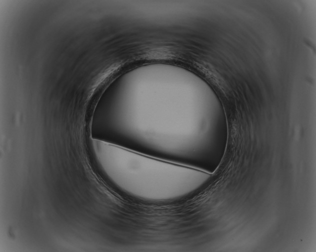 X0000097600535200802290734
