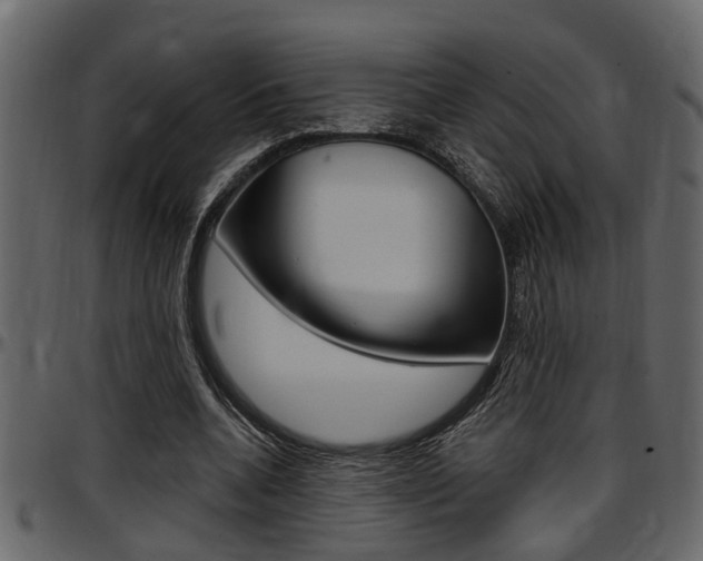 X0000097600536200802290734