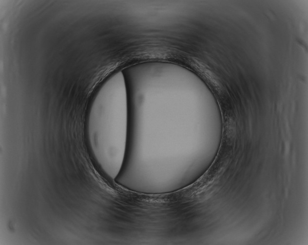 X0000097600537200802290734