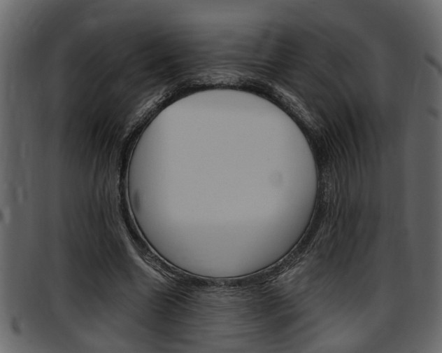 X0000097600538200802290734