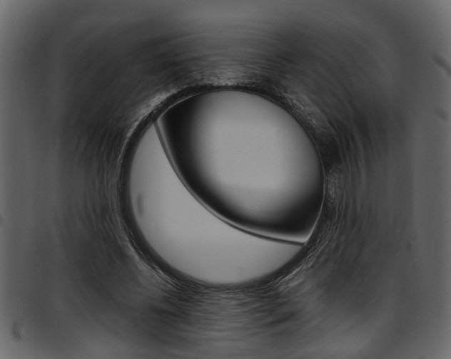 X0000097600540200802290734