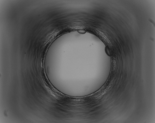 X0000097600541200802290734