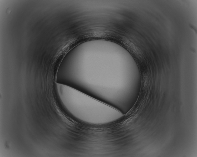 X0000097600542200802290734
