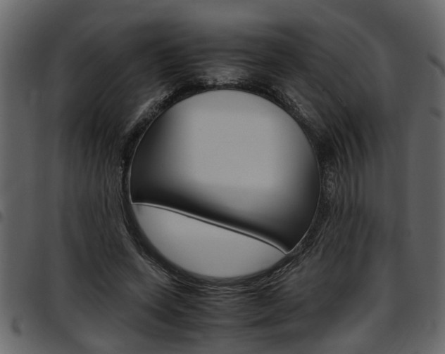 X0000097600543200802290734