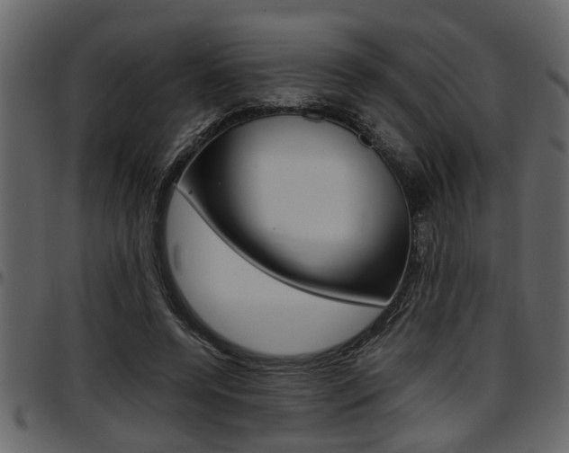 X0000097600544200802290734