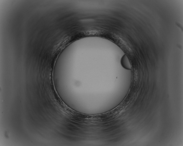 X0000097600545200802290734