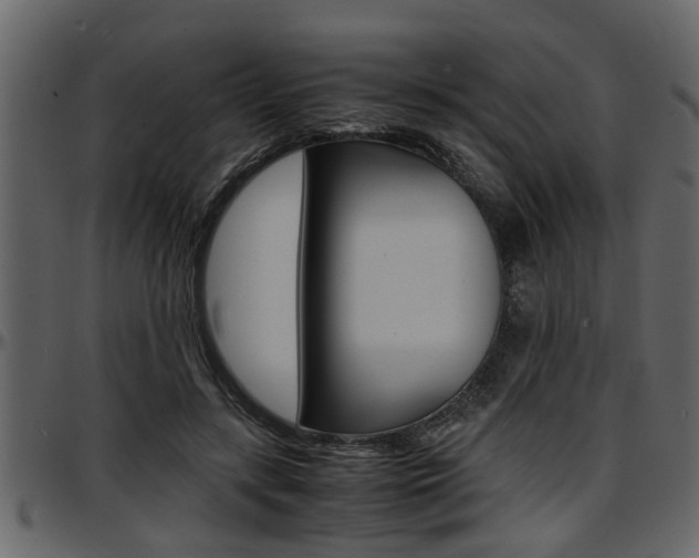 X0000097600547200802290734