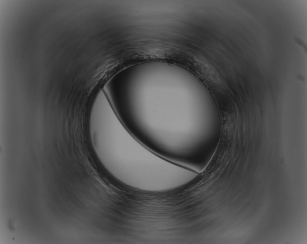 X0000097600548200802290734