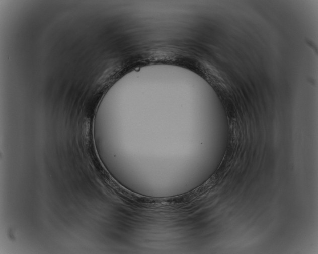 X0000097600550200802290734
