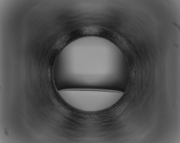 X0000097600551200802290734