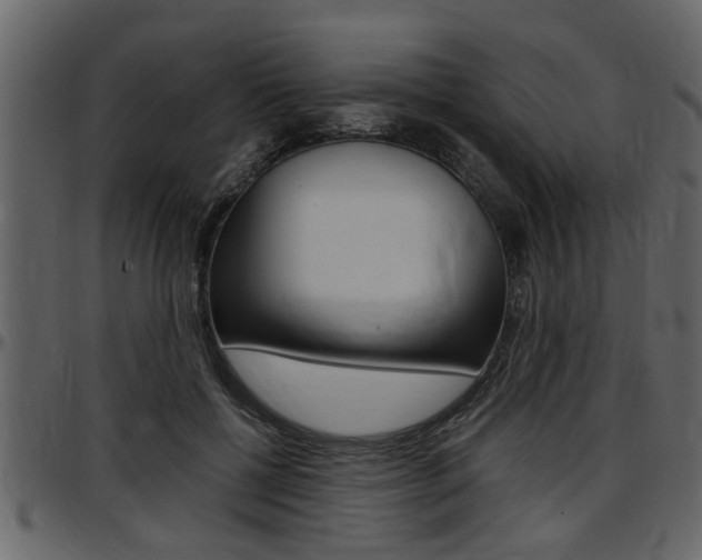 X0000097600552200802290734