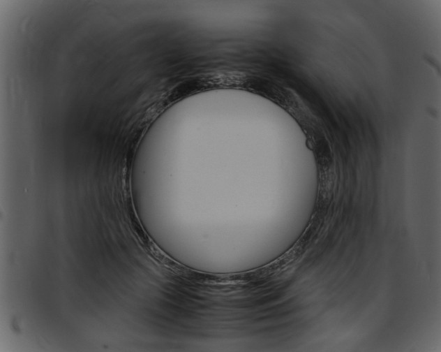 X0000097600553200802290734