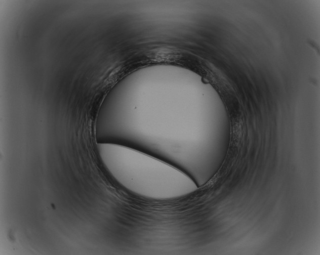 X0000097600554200802290734