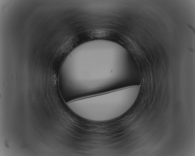 X0000097600555200802290734