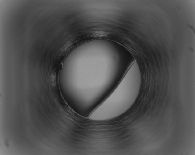 X0000097600556200802290734