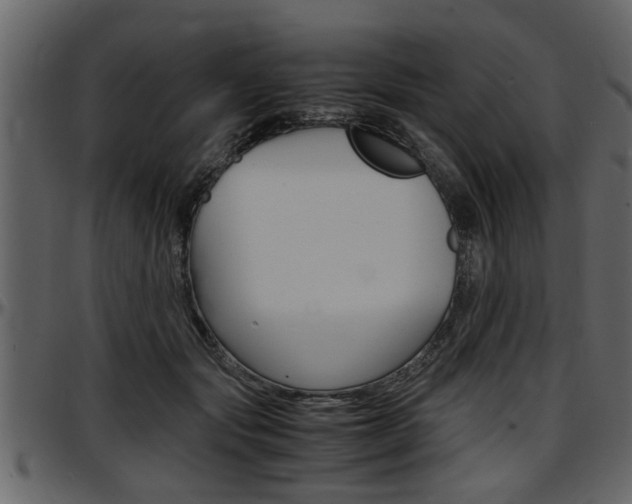 X0000097600557200802290734