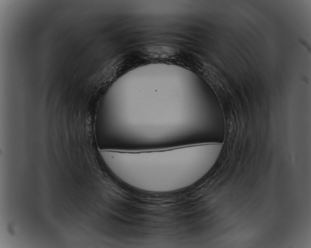 X0000097600559200802290734