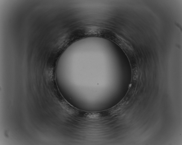 X0000097600560200802290734
