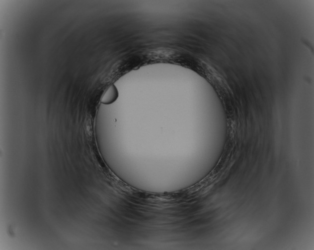 X0000097600561200802290735