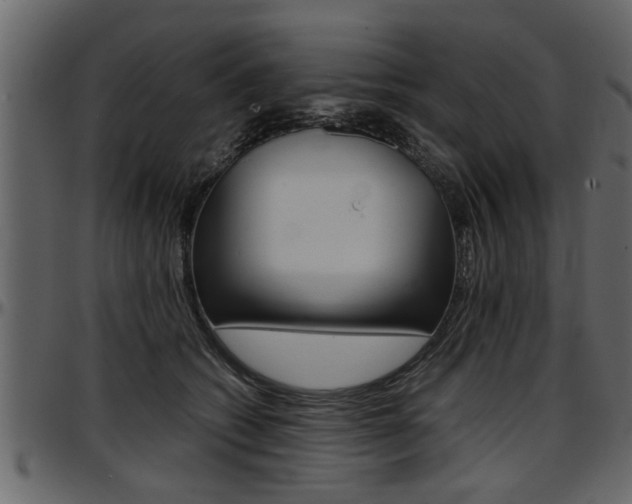 X0000097600562200802290735