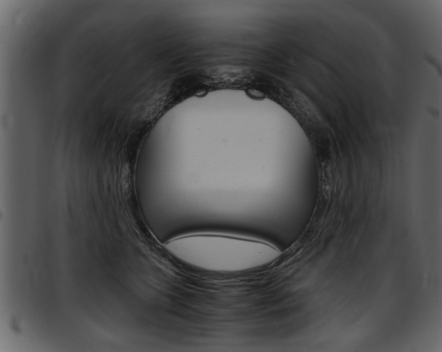 X0000097600563200802290735