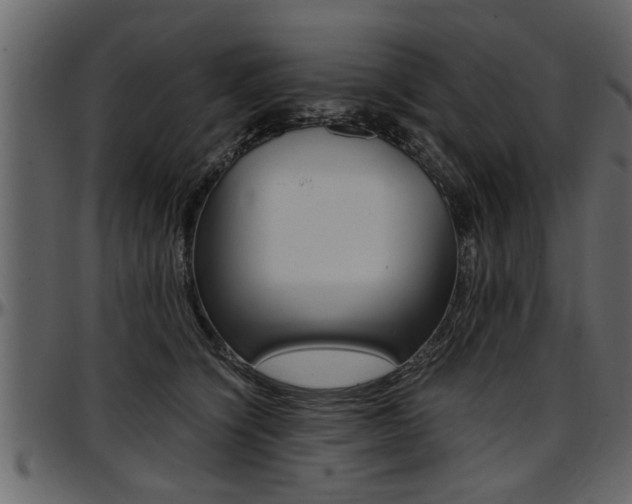 X0000097600564200802290735