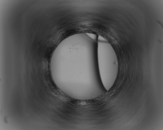 X0000097600565200802290735