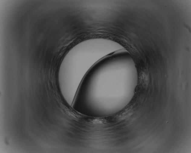 X0000097600566200802290735
