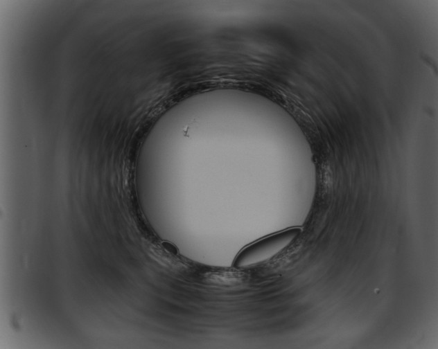 X0000097600567200802290735