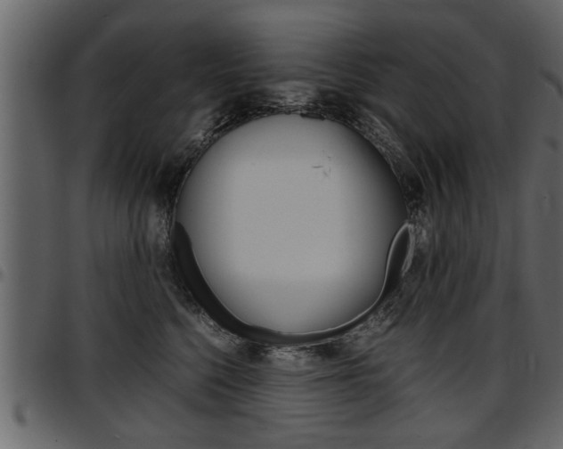 X0000097600568200802290735