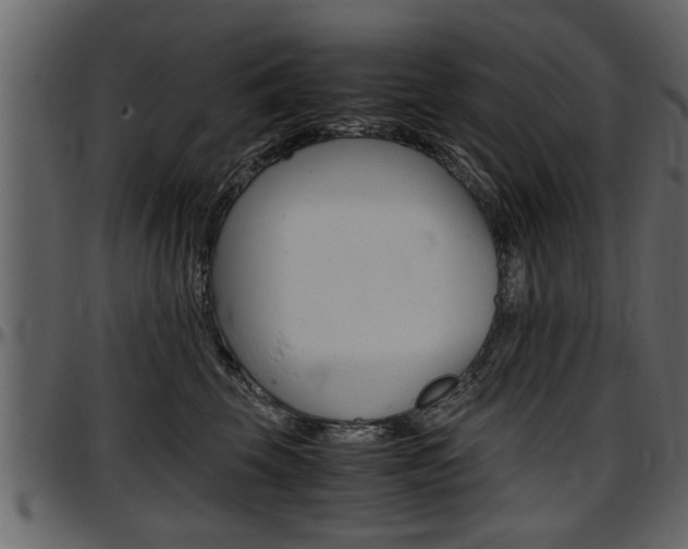 X0000097600569200802290735