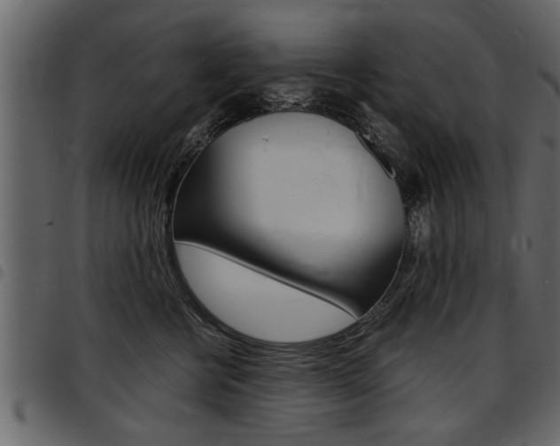X0000097600570200802290735